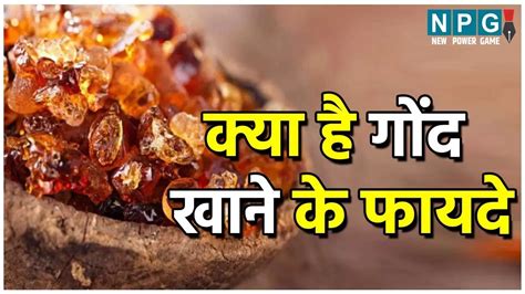 gond khane  fayde aa