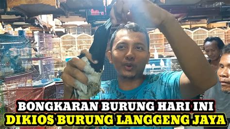 BONGKARAN BURUNG HARI INI DIKIOS LANGGENG JAYA PASAR BURUNG PRAMUKA