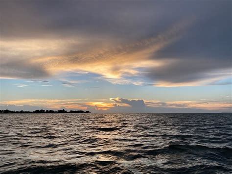 Anna Maria Island Dolphin Tours - All You Need to Know BEFORE You Go