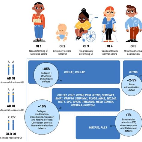 Overview Of Prenatal Testing Options For Members Of Families With OI