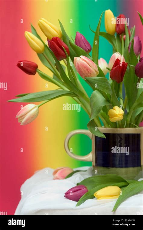 bouquet of tulips Stock Photo - Alamy