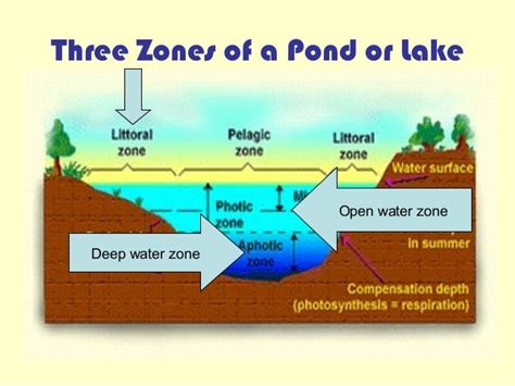 Freshwater Ecosystems