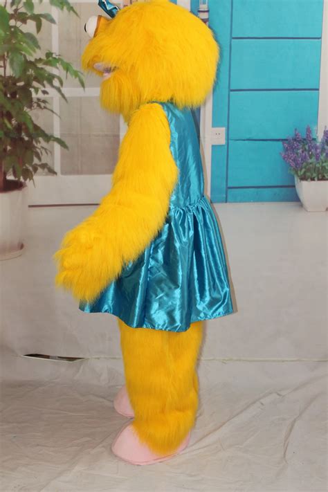 Zoe From Sesame Street Costume