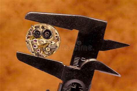Watch Movement Stock Photo Image Of Movement Watch Gears 235644