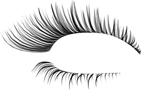 Eyelash Png Images Hd Png Play