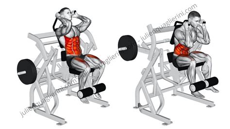 Crunch Machine How To Do This Exercise For Abs