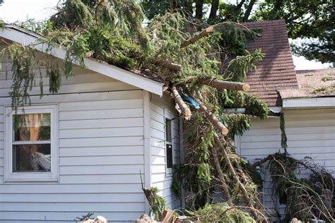 How To Prepare Your House For A Hurricane