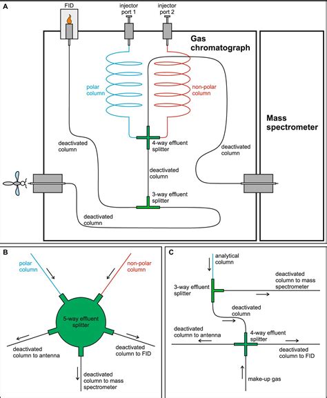 Frontiers Gc Ms Fid Ead A Method For Combining Mass Spectrometry