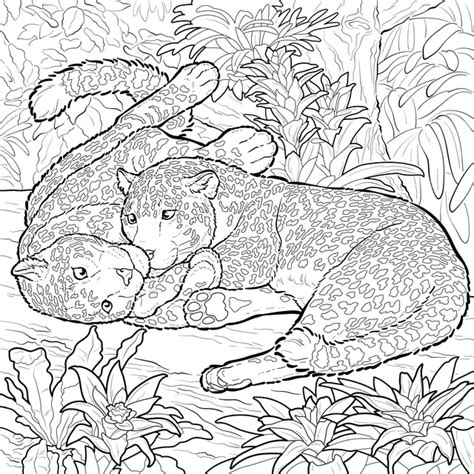 affectionate leopards coloring page enjoy coloring jungle predators
