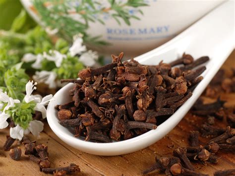 Clove - Curry Favour