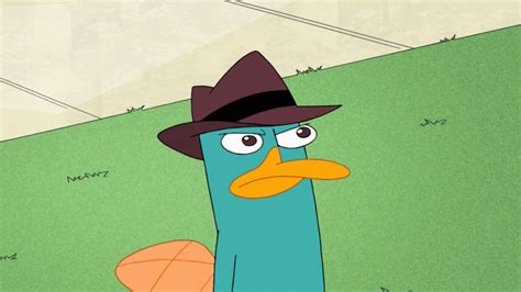 Perry The Platypus Wallpapers Wallpaper Cave