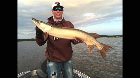 Musky Fishing 2015 Canada Youtube