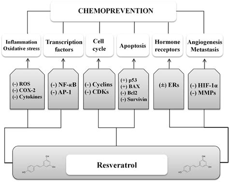 Frontiers Anticancer Molecular Mechanisms Of Resveratrol