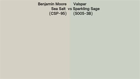 Benjamin Moore Sea Salt CSP 95 Vs Valspar Sparkling Sage 5005 3B