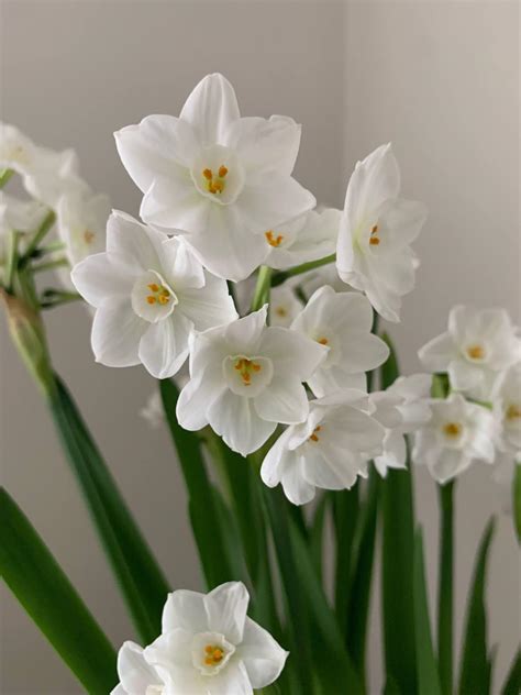 Grey Lane Kennels added a new photo. - Grey Lane Kennels