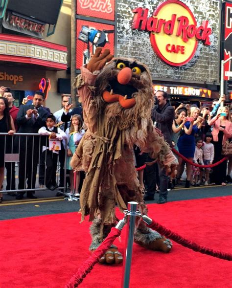 Behind the Scenes at the Muppets Most Wanted Premiere With Tina Fey, Ty ...