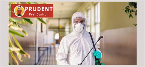 Pest Control Tips for New Homeowners: Protect Your Home from Unwanted Pests 