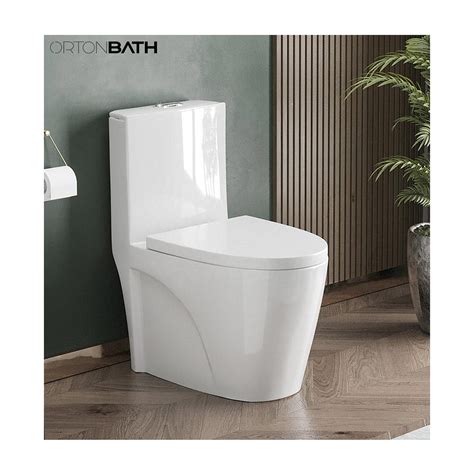 Futuristic Toilet
