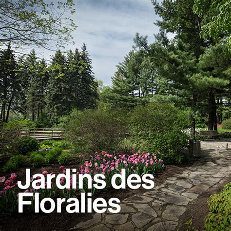 Quoi faire au Parc - Parc Jean-Drapeau