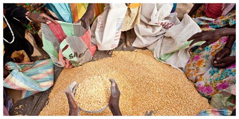 Chad Declares Food Emergency Urges International Help