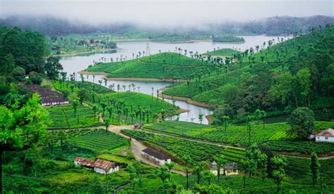 adventurous valparai trip  kochi  days trip kochi cochin