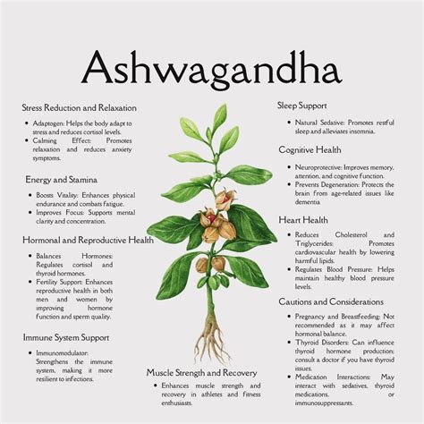 ashwagandha benefits  women ayurveda herbs benefits
