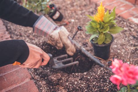 easy tips  garden tool maintenance growing family