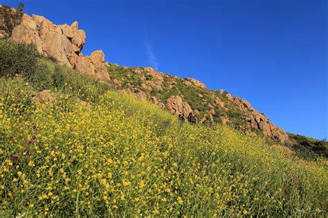 Visit Santee: 2024 Travel Guide for Santee, California | Expedia