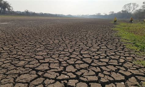 Mato Grosso Do Sul Vai Decretar Situa O De Emerg Ncia Nas Cidades