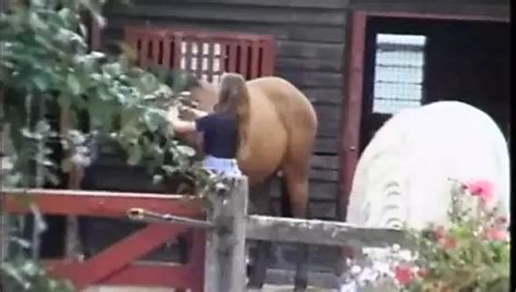 Buttman And Rocco In Montreal Full Movie German Blowjob Porn Xhamster