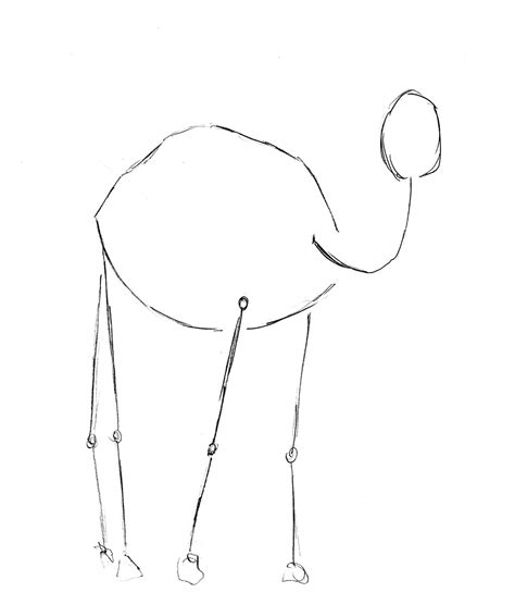 how to draw a camel 3