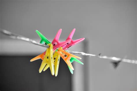 hanging clips pixahive