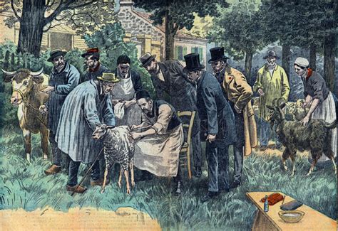 Vaccination antirabique Louis Pasteur - Observer