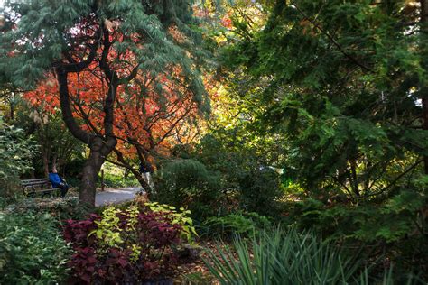 Queens Botanical Garden | Queens, NY 11355 | New York Path Through History