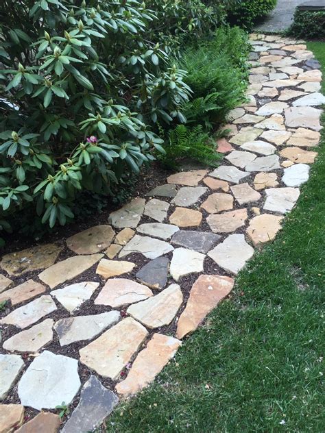 mcfarland maple tree