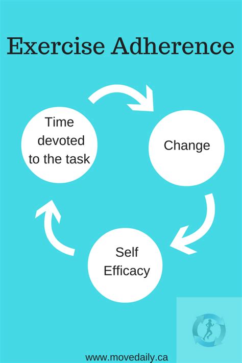 spot exercise adherence move daily