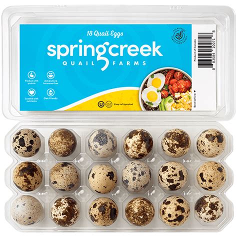 Quail Eggs Vs Chicken Eggs Spring Creek Quail Eggs