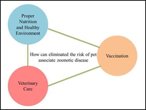 Possum Trots Trusted Veterinarian Spots Rise As Regional Pillar In Wildlife And Companion Animal Health