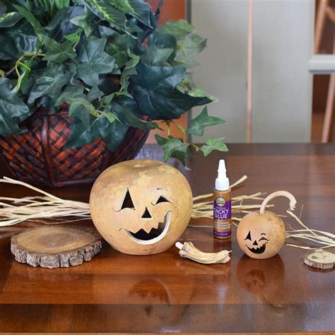 Fall and Halloween Themed Craft Kits – Meadowbrooke Gourds