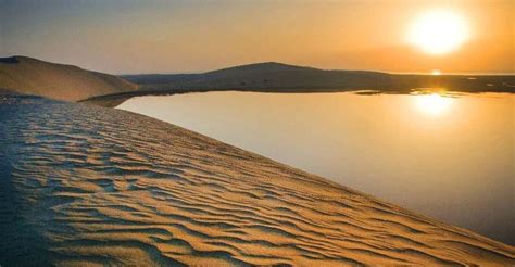 qatar doha city  desert safari  combo package getyourguide
