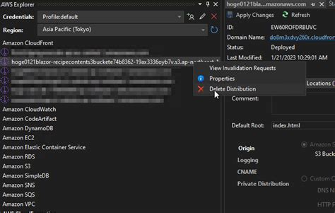 Aws Toolkit For Visual Studio Blazor Webassembly Cloudfront
