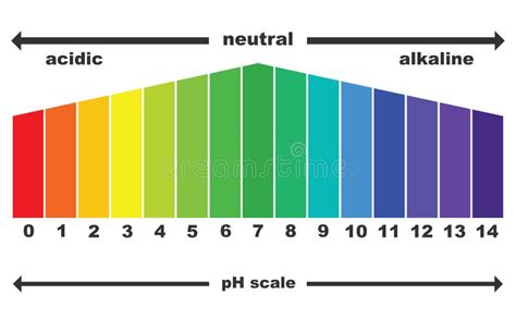 The PH Scale Universal Indicator PH Color Chart Diagram Stock Vector - Illustration of ...