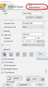 How to Scan Negatives on Epson v600 or V800? – ScanJunction