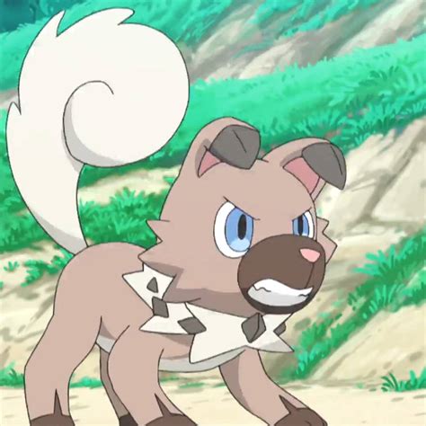 Pokemon Sun Moon-Rockruff 5 by GiuseppeDiRosso on DeviantArt