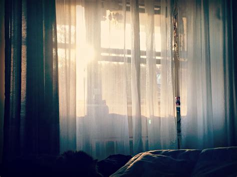 sun through my bedroom window at dawn this morning