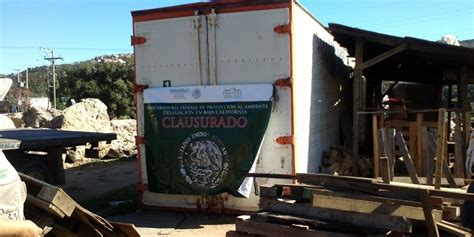 Clausura Profepa Horno De Tratamiento T Rmico En Embalajes