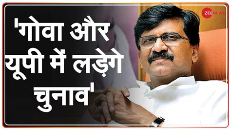 Shiv Sena Will Contest Elections In Goa And Up Sanjay Raut गोवा और