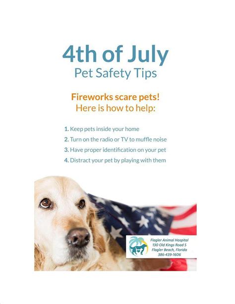 Flagler Animal Hospital | Flagler Beach FL