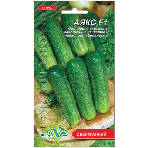 Огурцы Аякс Фото — Картинки фотографии