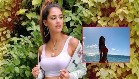 Malang Disha Patani Amps Up The Hotness Quotient With A Bikini Picture From The Movie